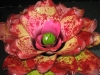 Enigma
