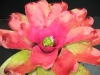 Flummery