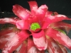 Impetuous